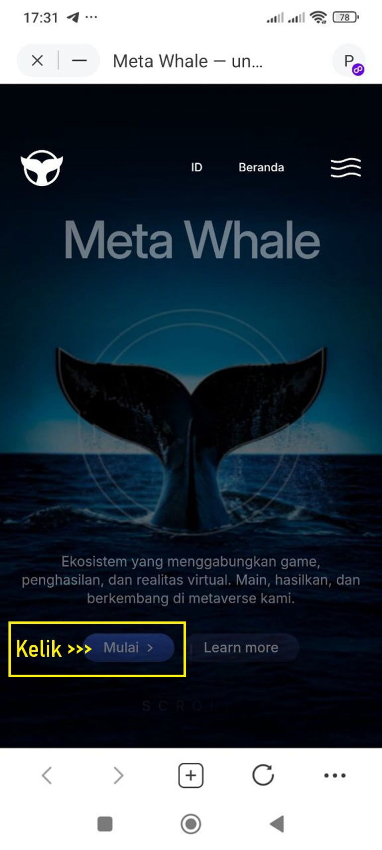 Mobirise Website Builder